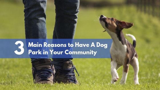 3 Main Reasons to Have A Dog Park in Your Community