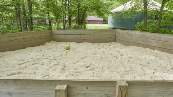 Why Gaga Ball Is the Best Game for Your Child